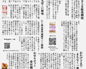 おいぜんタイムズ2020年11月